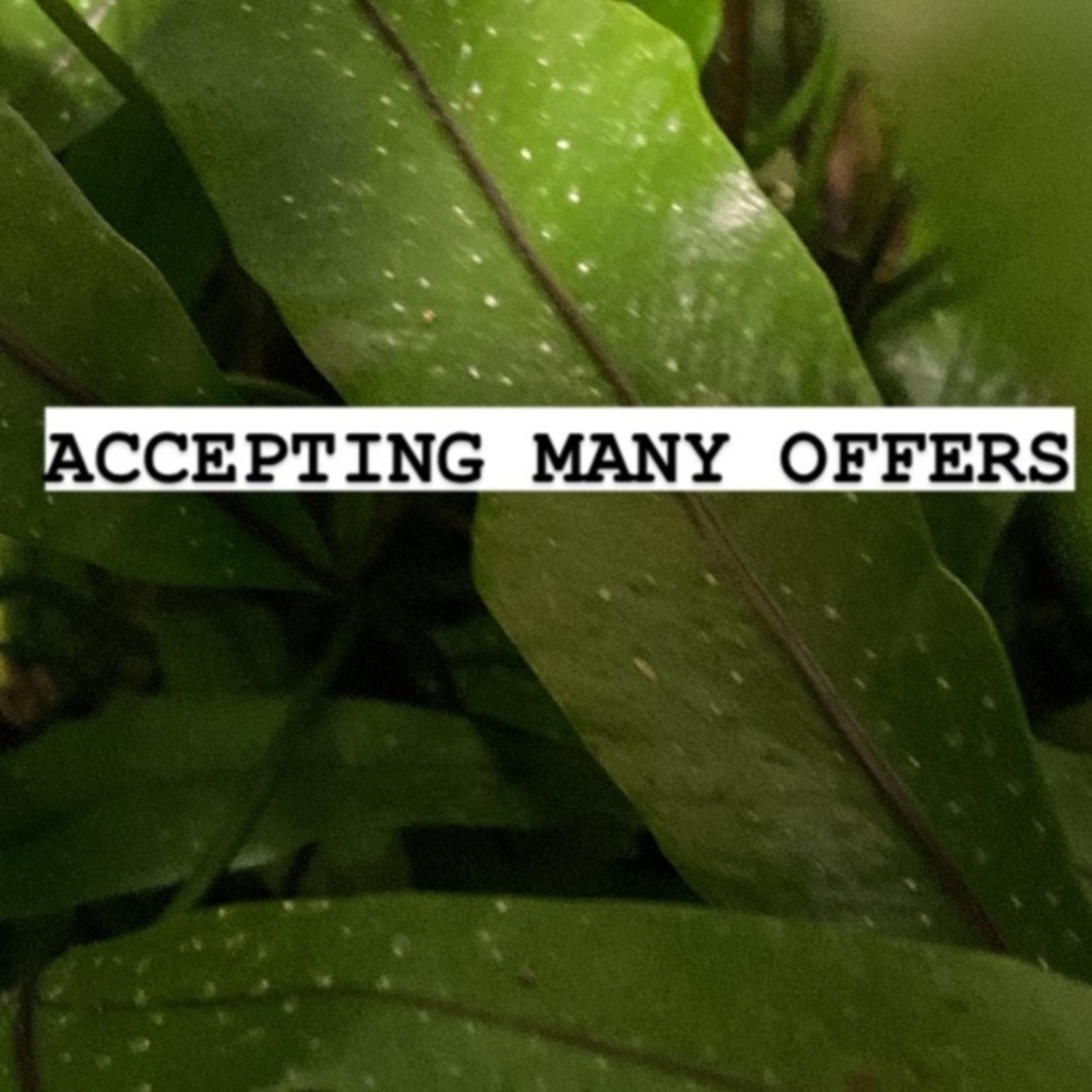 BUNDLE FOR DISCOUNTS